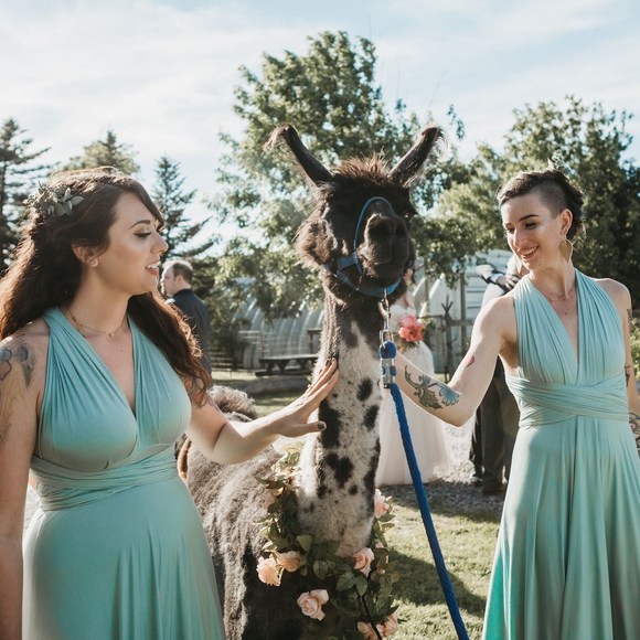 Meet your Posher, Rita - Picture 1 of 1